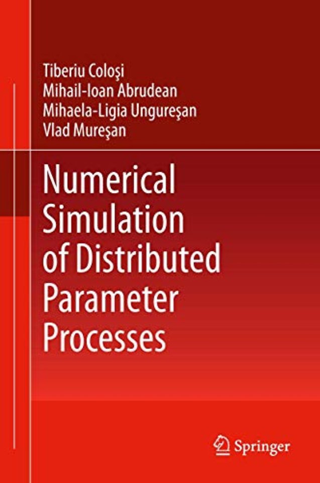 Numerical Simulation of Distributed Parameter Processes