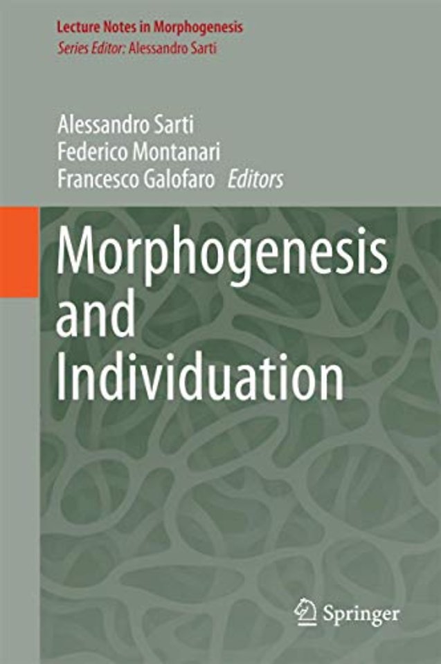 Morphogenesis and Individuation