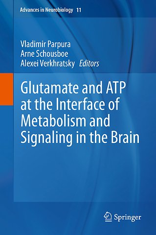Glutamate and ATP at the Interface of Metabolism and Signaling in the Brain