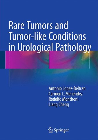 Rare Tumors and Tumor-like Conditions in Urological Pathology