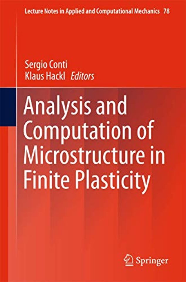 Analysis and Computation of Microstructure in Finite Plasticity