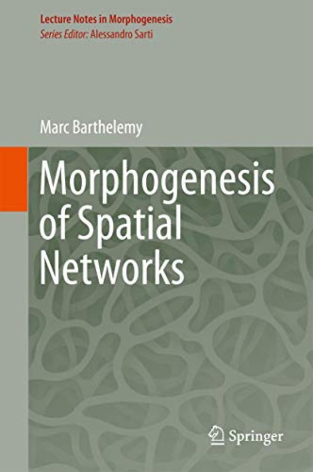 Morphogenesis of Spatial Networks
