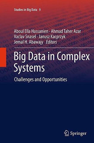 Big Data in Complex Systems