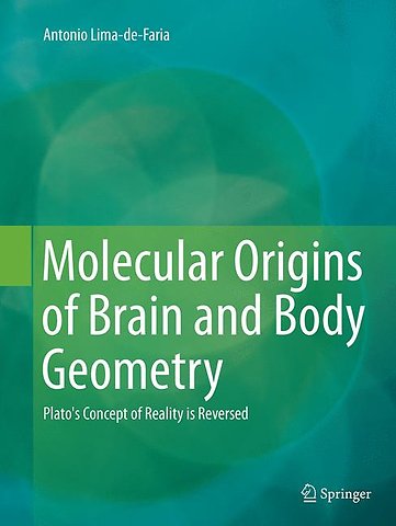 Molecular Origins of Brain and Body Geometry