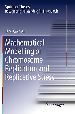Mathematical Modelling of Chromosome Replication and Replicative Stress
