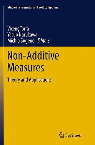 Non-Additive Measures