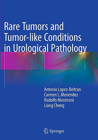 Rare Tumors and Tumor-like Conditions in Urological Pathology