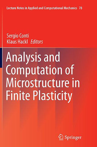 Analysis and Computation of Microstructure in Finite Plasticity