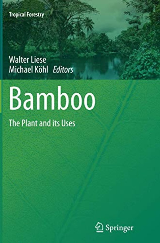 Bamboo