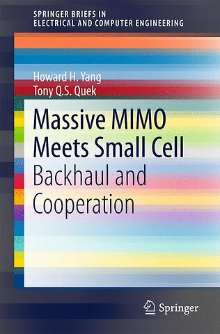 Massive MIMO Meets Small Cell