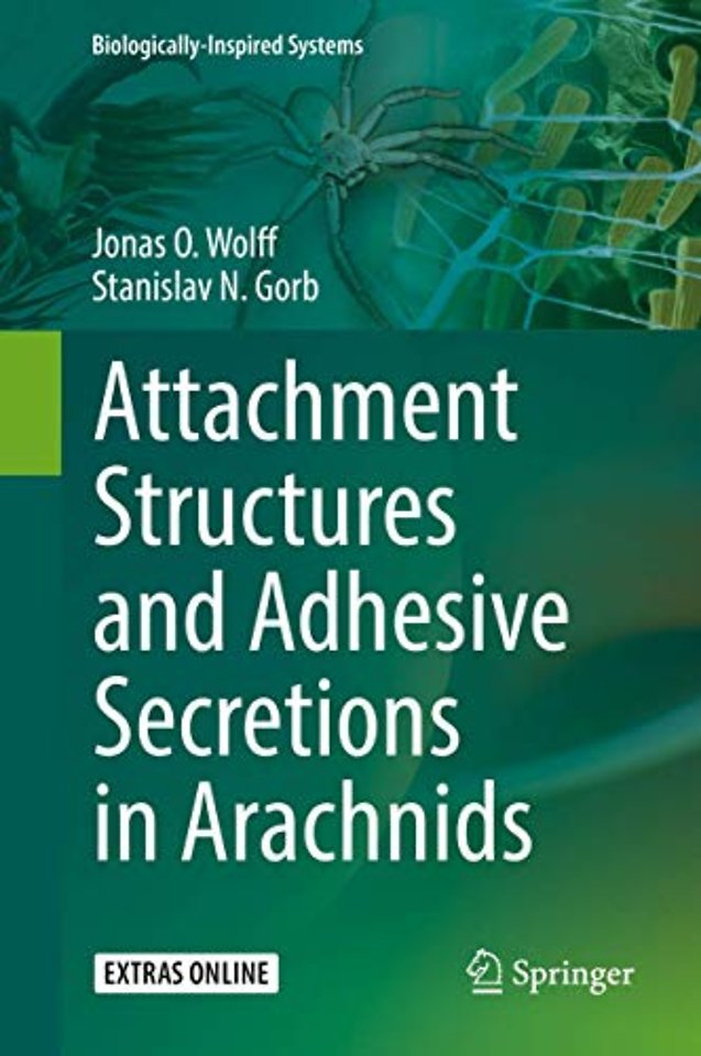 Attachment Structures and Adhesive Secretions in Arachnids