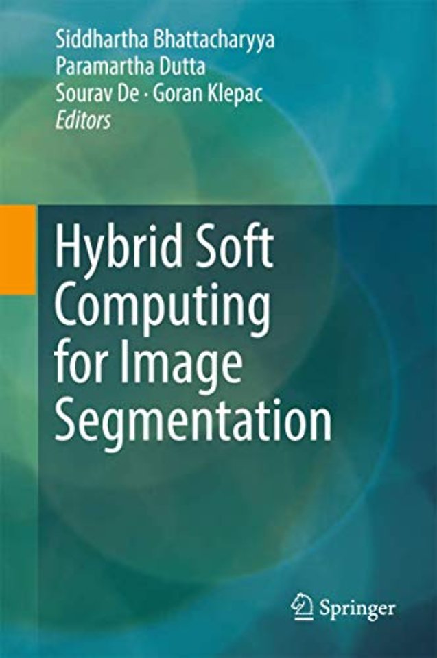 Hybrid Soft Computing for Image Segmentation