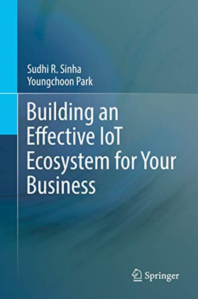 Building an Effective IoT Ecosystem for Your Business