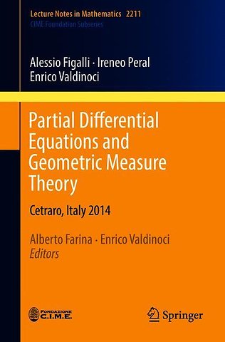 Partial Differential Equations and Geometric Measure Theory