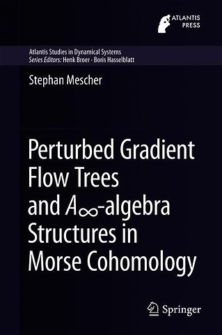 Perturbed Gradient Flow Trees and A∞-algebra Structures in Morse Cohomology