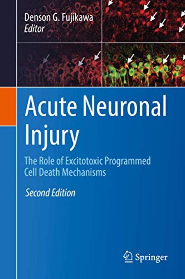 Acute Neuronal Injury