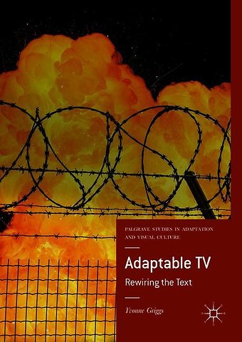 Adaptable TV