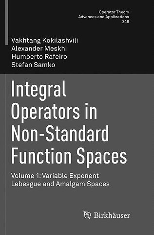 Integral Operators in Non-Standard Function Spaces