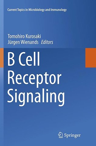 B Cell Receptor Signaling