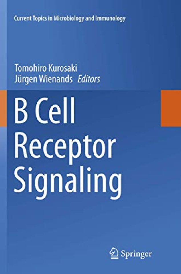 B Cell Receptor Signaling