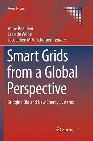 Smart Grids from a Global Perspective