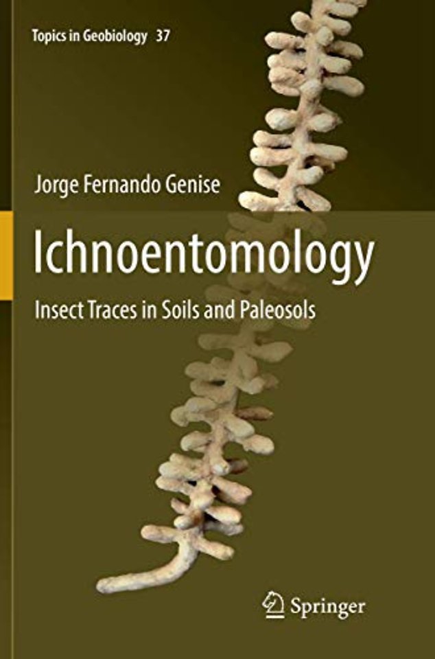 Ichnoentomology