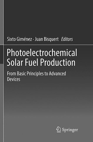 Photoelectrochemical Solar Fuel Production