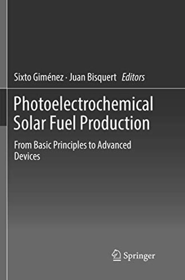 Photoelectrochemical Solar Fuel Production
