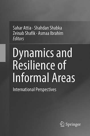 Dynamics and Resilience of Informal Areas