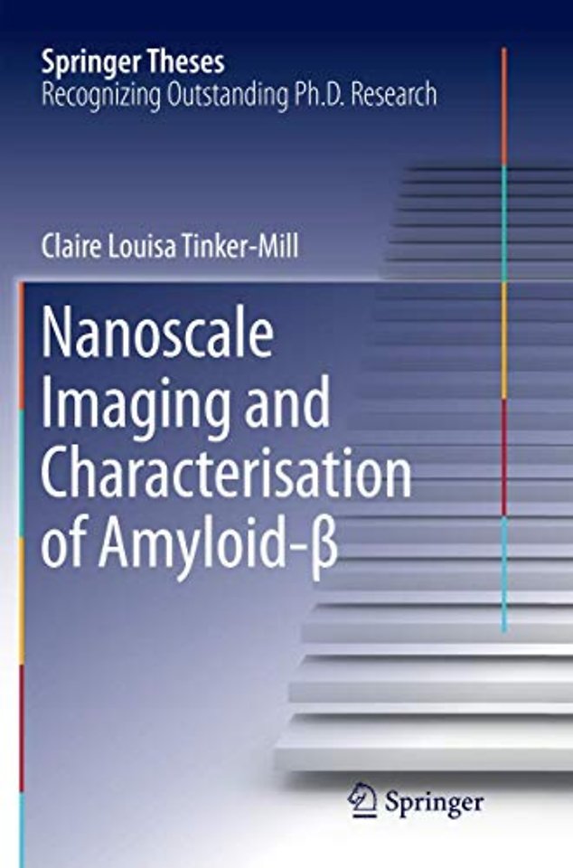 Nanoscale Imaging and Characterisation of Amyloid-β