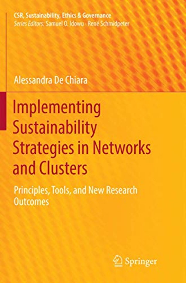 Implementing Sustainability Strategies in Networks and Clusters