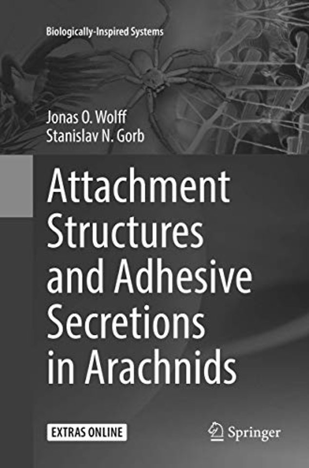 Attachment Structures and Adhesive Secretions in Arachnids