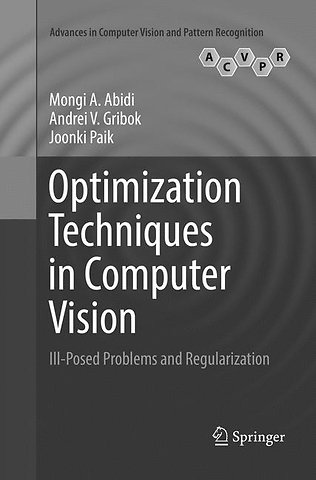Optimization Techniques in Computer Vision
