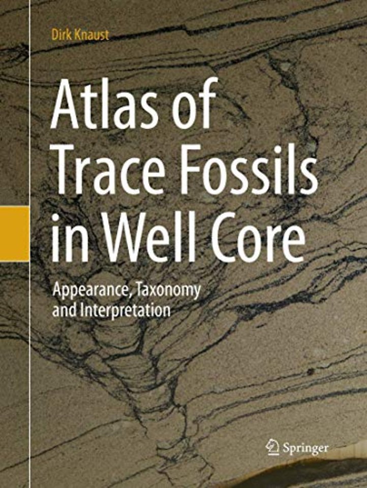 Atlas of Trace Fossils in Well Core