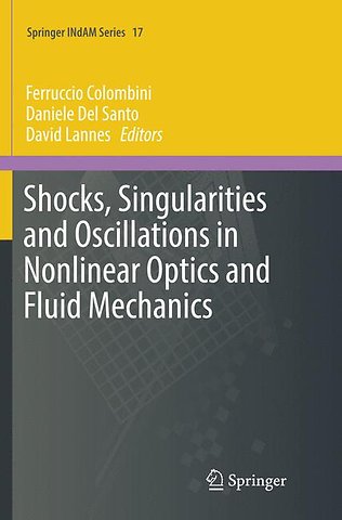 Shocks, Singularities and Oscillations in Nonlinear Optics and Fluid Mechanics