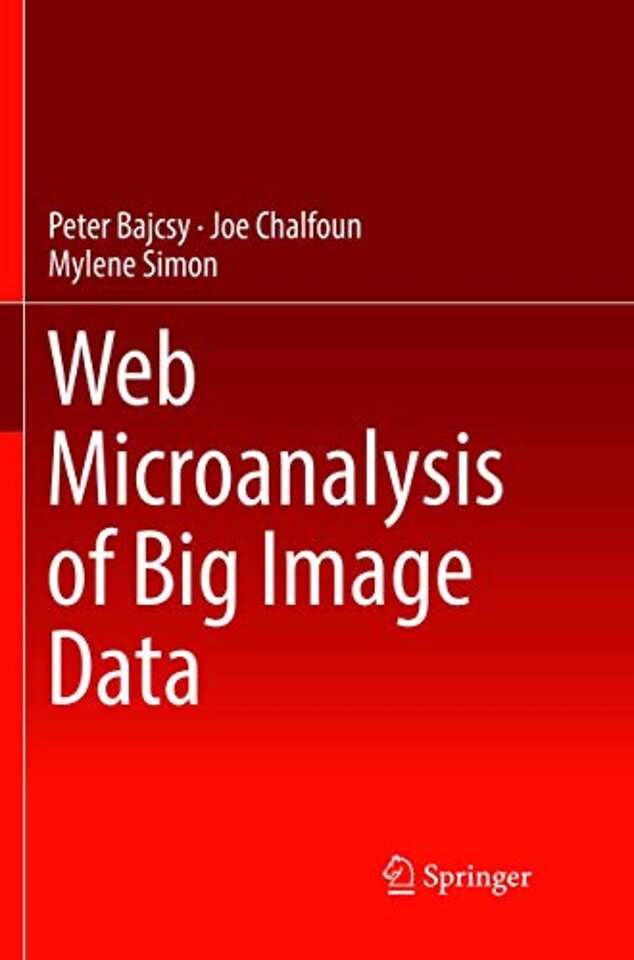 Web Microanalysis of Big Image Data