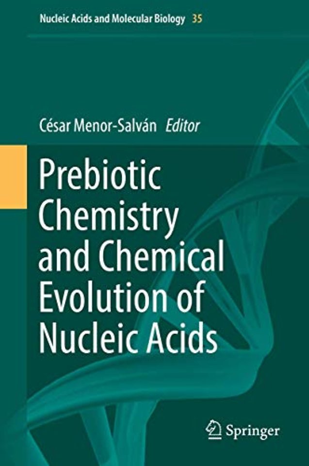 Prebiotic Chemistry and Chemical Evolution of Nucleic Acids