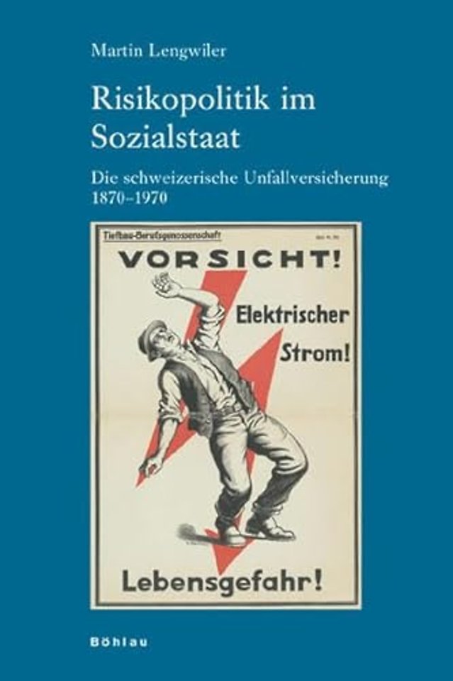 Risikopolitik im Sozialstaat