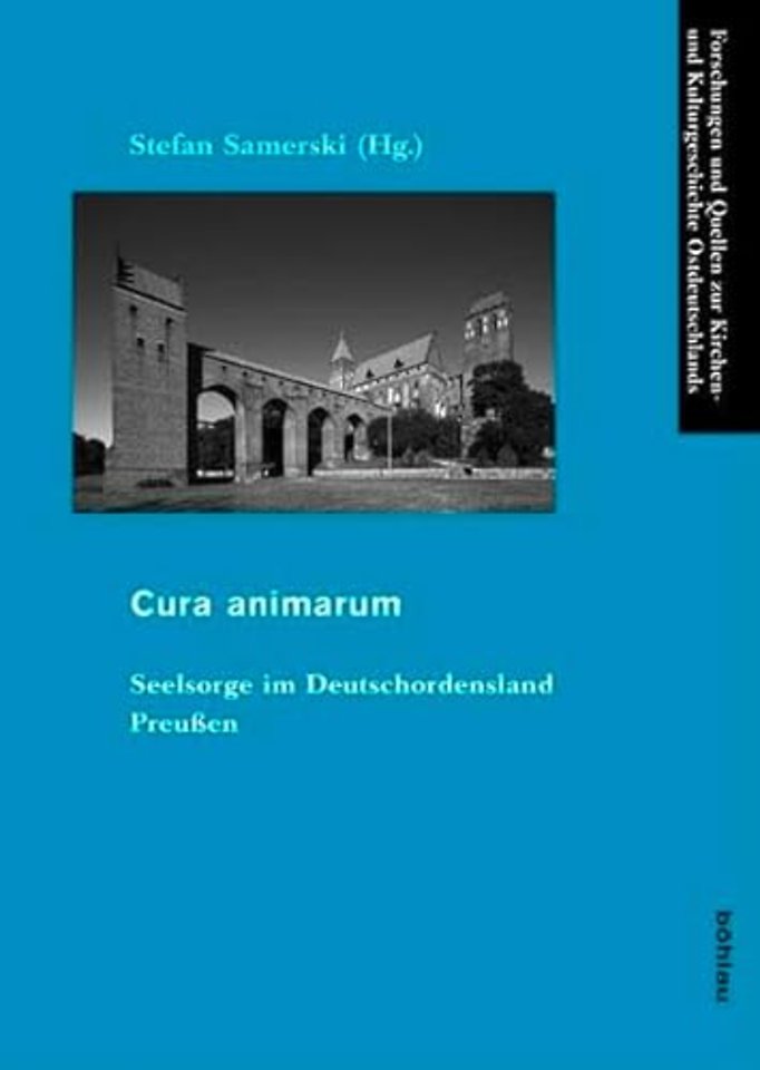 Cura animarum