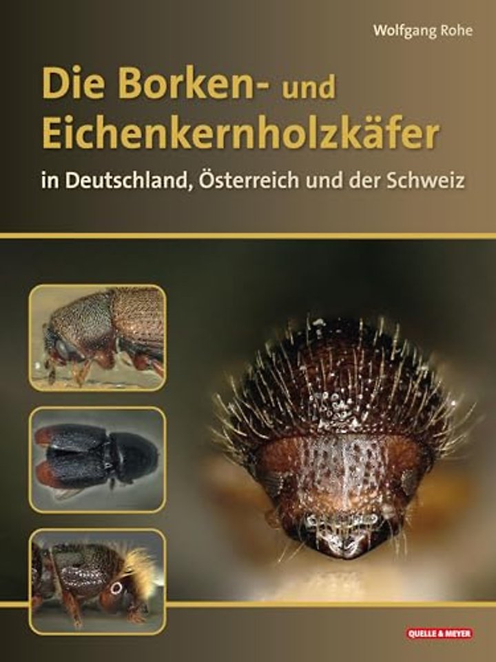 Die Borkenkäfer Deutschlands, Österreichs und der Schweiz
