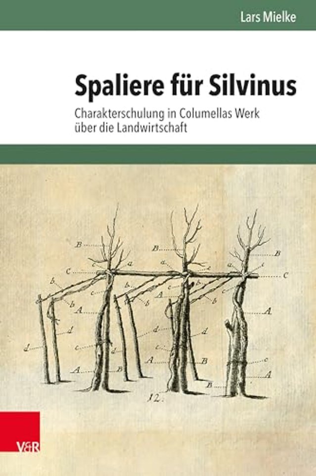 Spaliere fur Silvinus