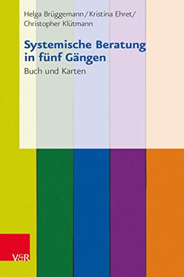 Systemische Beratung in Funf Gangen