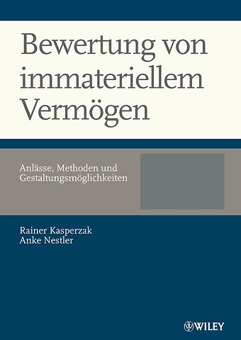 Bewertung von immateriellem Vermogen