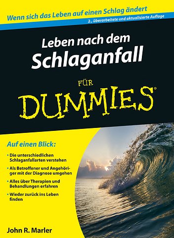 Zuruck ins Leben nach dem Schlaganfall fur Dummies