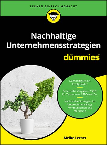 Nachhaltige Unternehmensstrategien fur Dummies