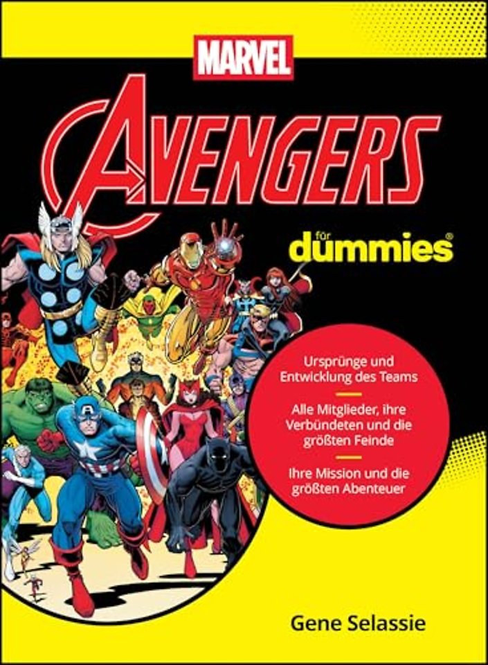 Avengers fur Dummies