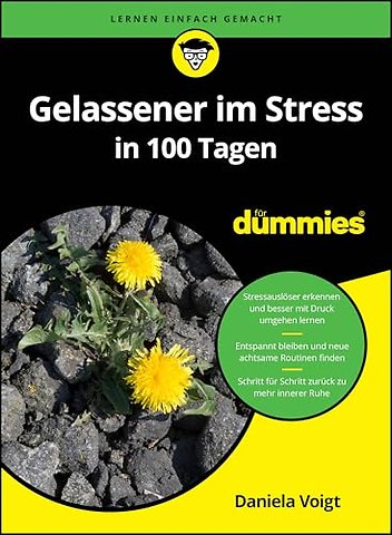 Gelassener im Stress in 100 Tagen fur Dummies