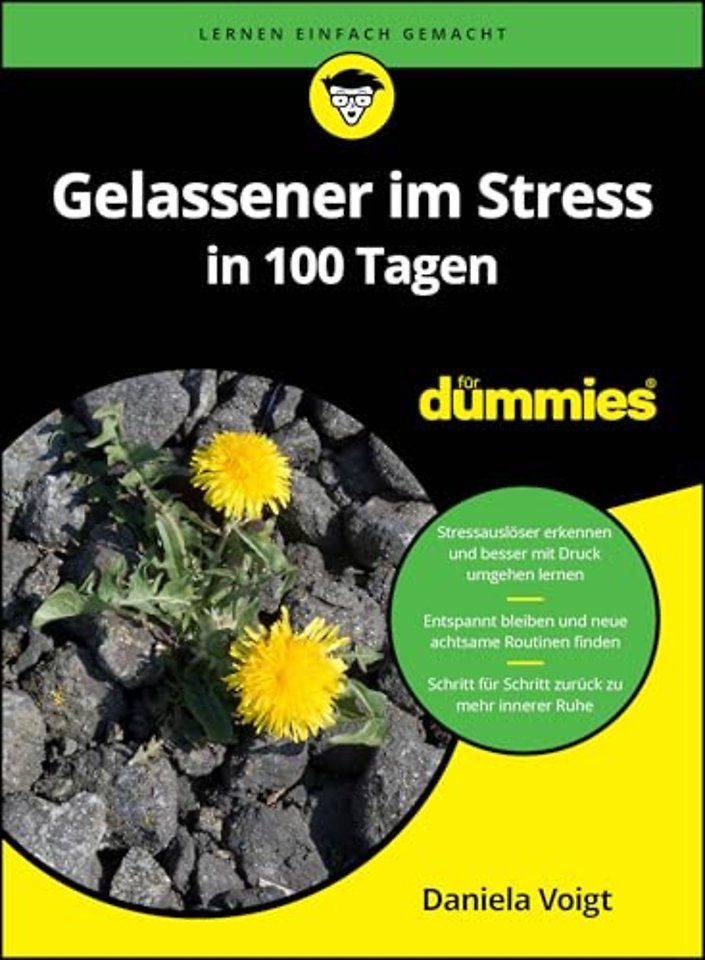 Gelassener im Stress in 100 Tagen fur Dummies