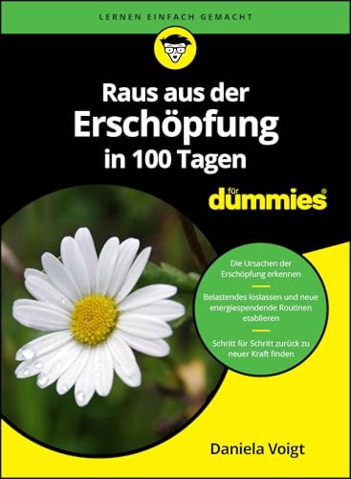 Raus aus der Erschopfung in 100 Tagen fur Dummies