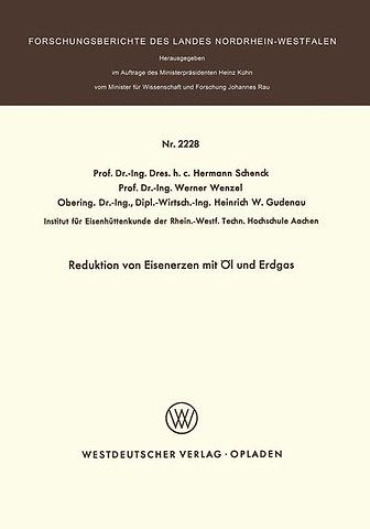 Reduktion von Eisenerzen mit Öl und Erdgas